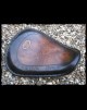 Selle Sportster 2010 - Up Two Wheels