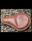 Selle Universelle Pure Leather