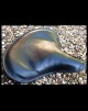 Seat Big Indian