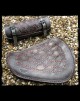Pack Sportster 2010-Up (111)
