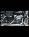 Sitz Sportster 2010 - Up. Jack D. Black