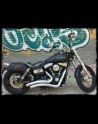 Pack HD Dyna 1996-Up (00)
