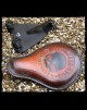 Pack Sportster 2010-Up (000)