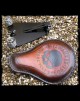 Pack Sportster 1986-2003 (000)