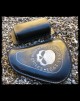 Pack Sportster 2010-Up (005)