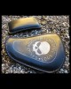 Pack Sportster 2010-Up (005)
