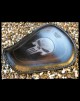 Sitz Sportster 2010 - Up Skull