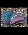 Selle Universal Chop Rats 2