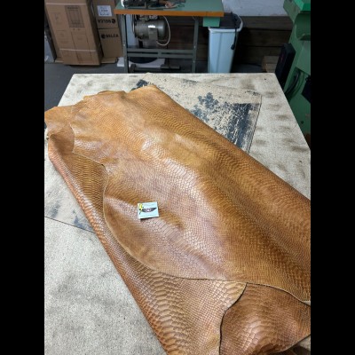 Pack Indian Scout 2015-Up (02)